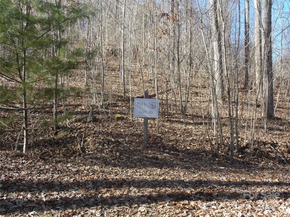 Lot 39 Sweet Spring Trail #39 Glenville, NC 28736