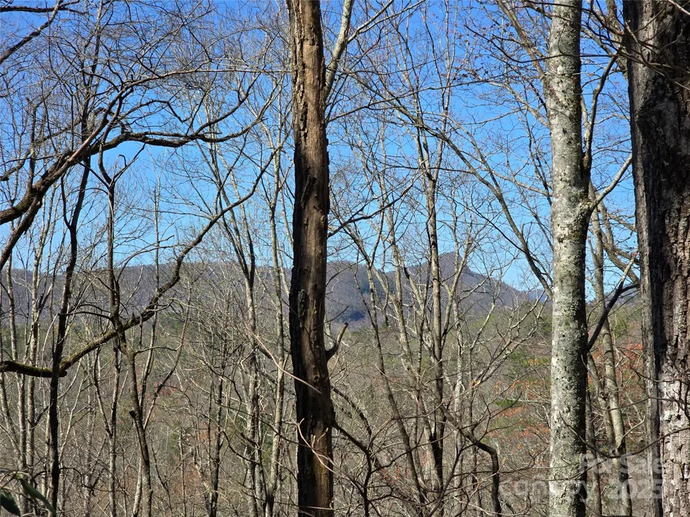 Lot 39 Sweet Spring Trail #39 Glenville, NC 28736