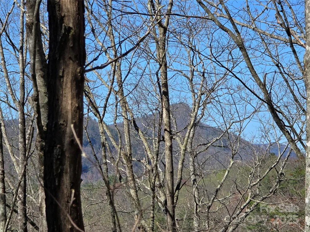 Lot 39 Sweet Spring Trail #39 Glenville, NC 28736