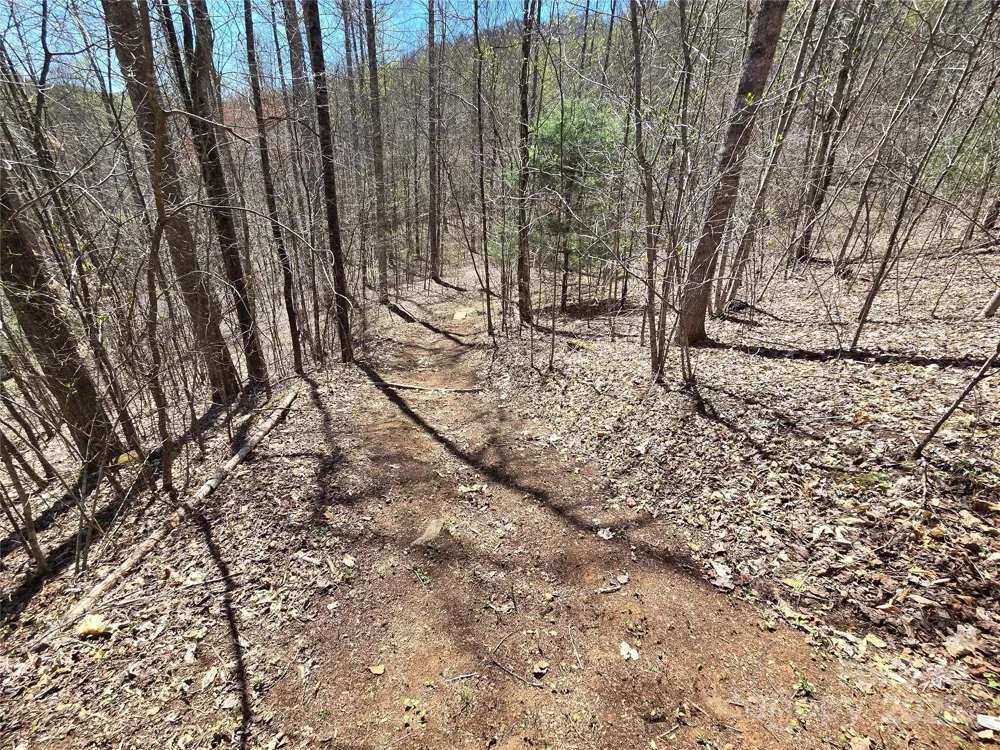 Lot 39 Sweet Spring Trail #39 Glenville, NC 28736