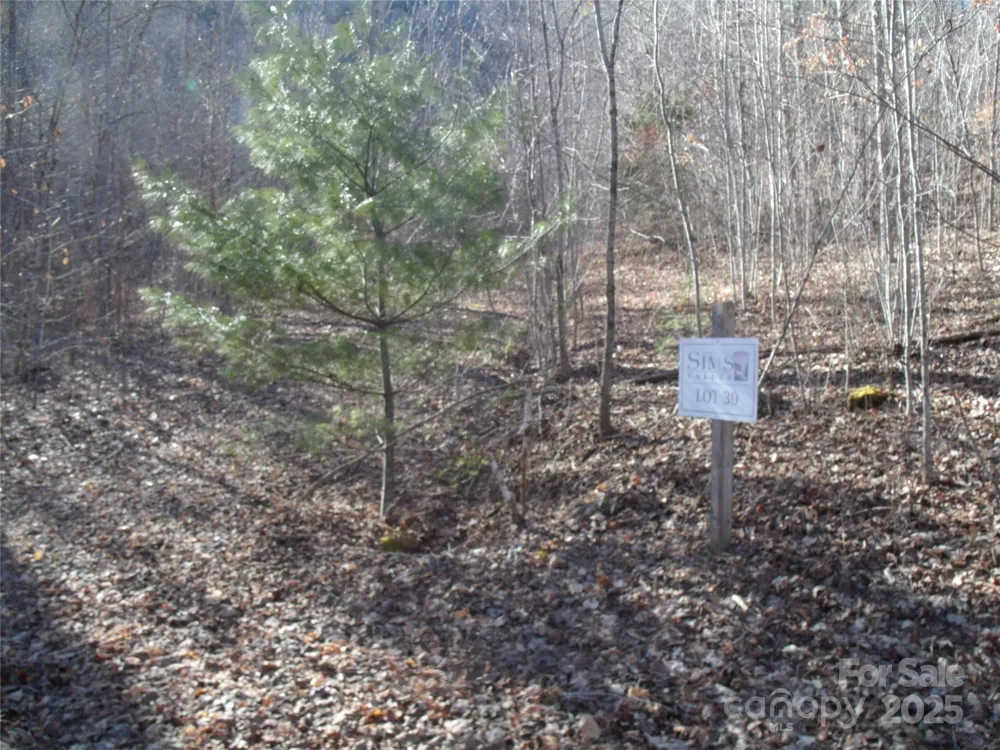 Lot 39 Sweet Spring Trail #39 Glenville, NC 28736
