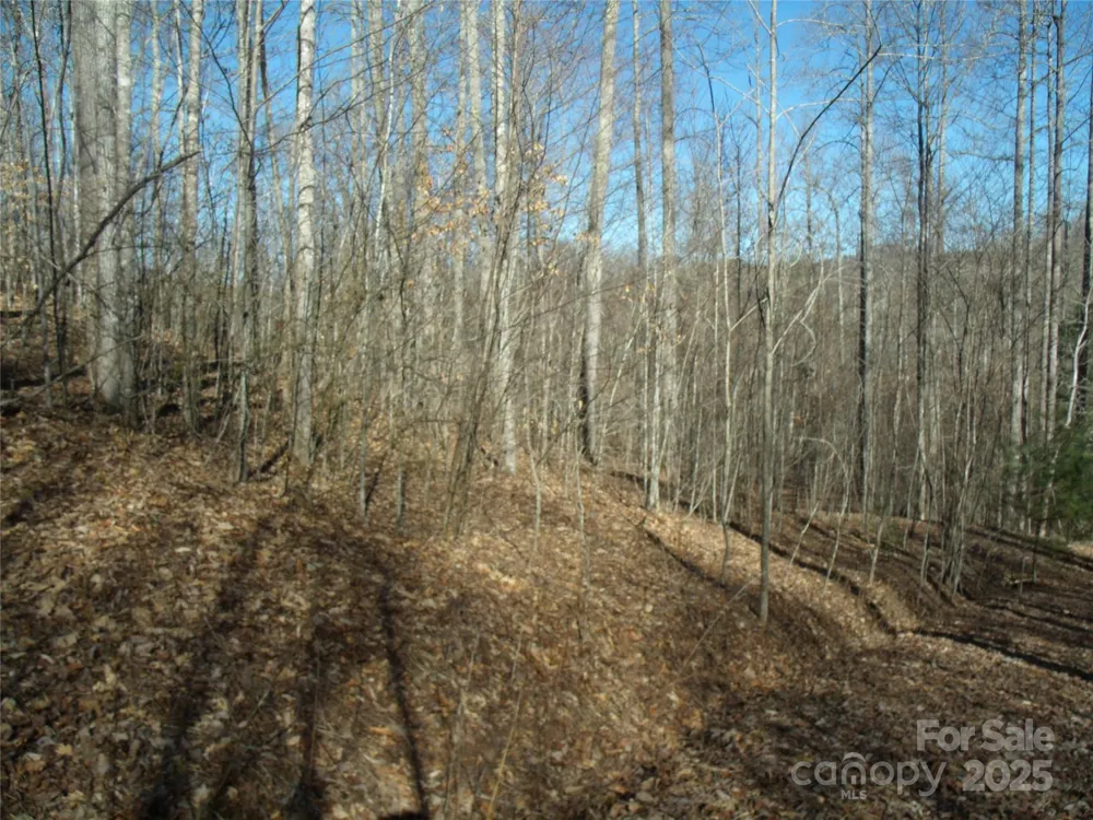 Lot 39 Sweet Spring Trail #39 Glenville, NC 28736