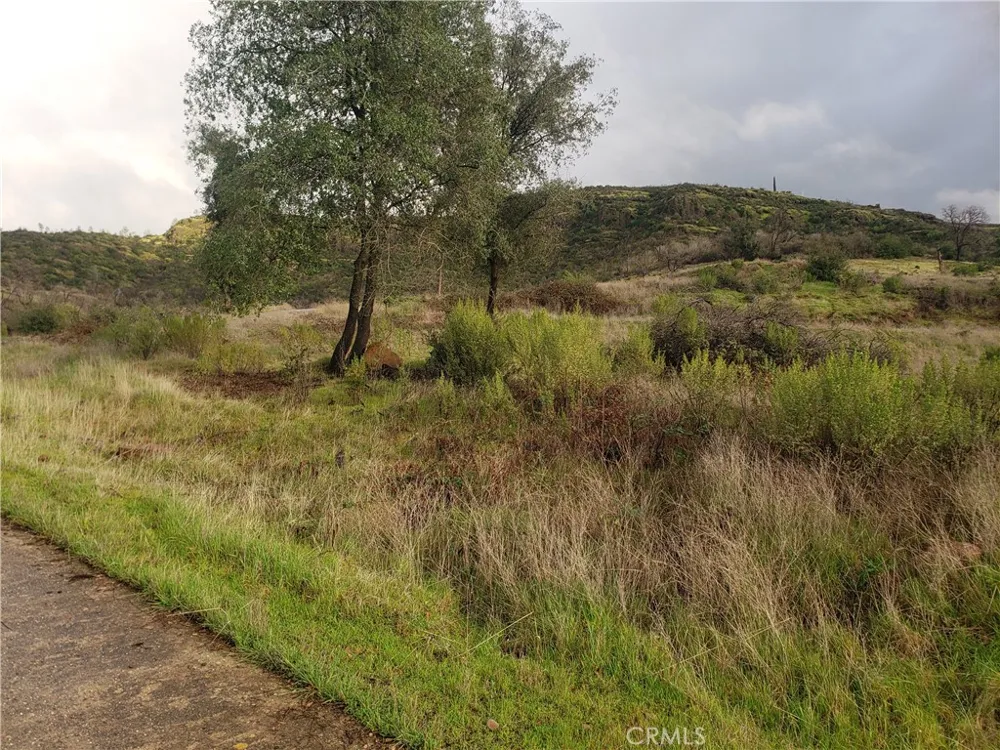 2470 Honey Run Road Chico, CA 95928