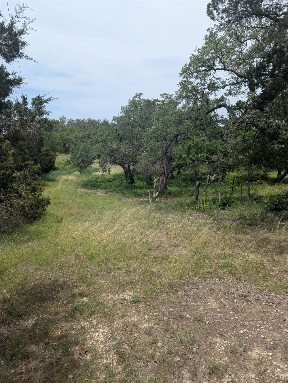 2 Hamilton Pool Road Bee Cave, TX 78738