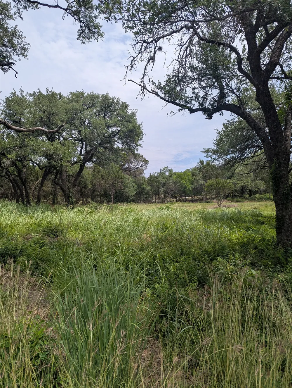 2 Hamilton Pool Road Bee Cave, TX 78738