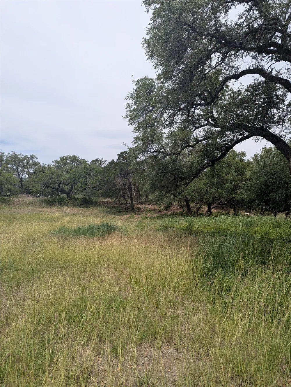2 Hamilton Pool Road Bee Cave, TX 78738