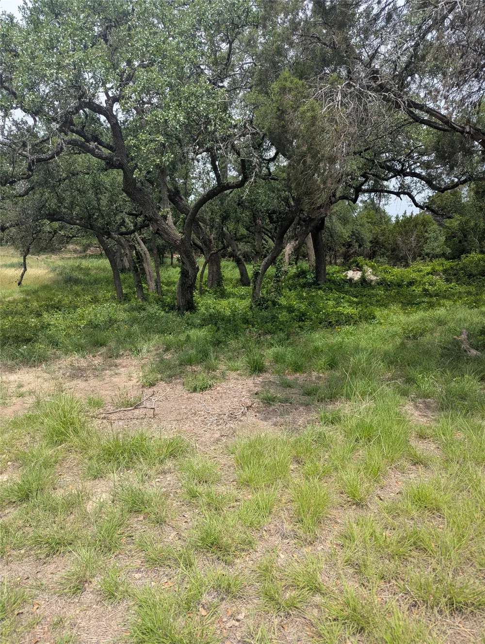 2 Hamilton Pool Road Bee Cave, TX 78738