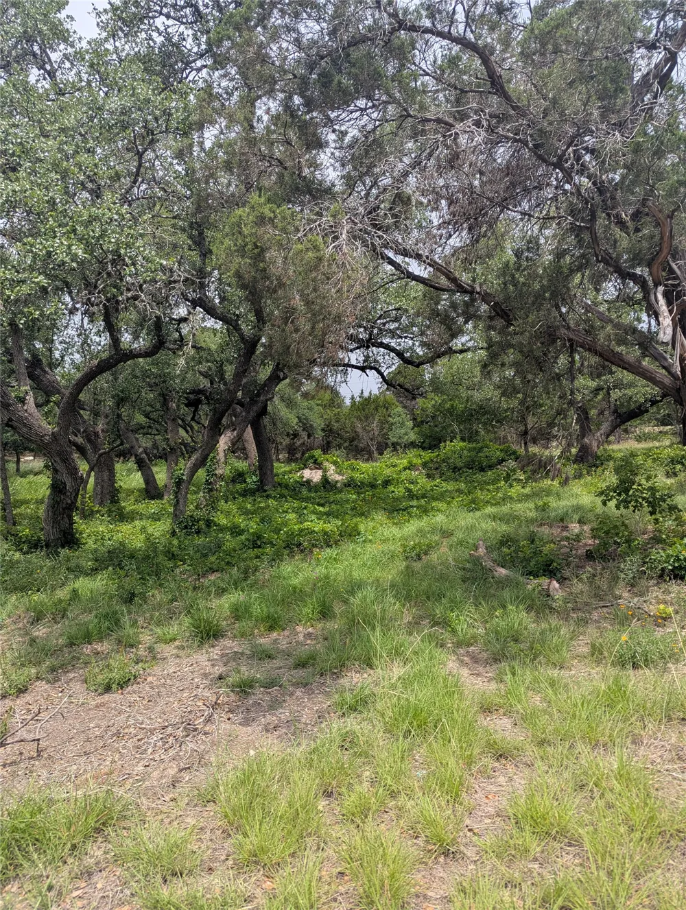 2 Hamilton Pool Road Bee Cave, TX 78738