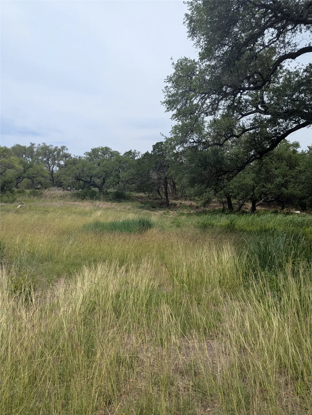 2 Hamilton Pool Road Bee Cave, TX 78738