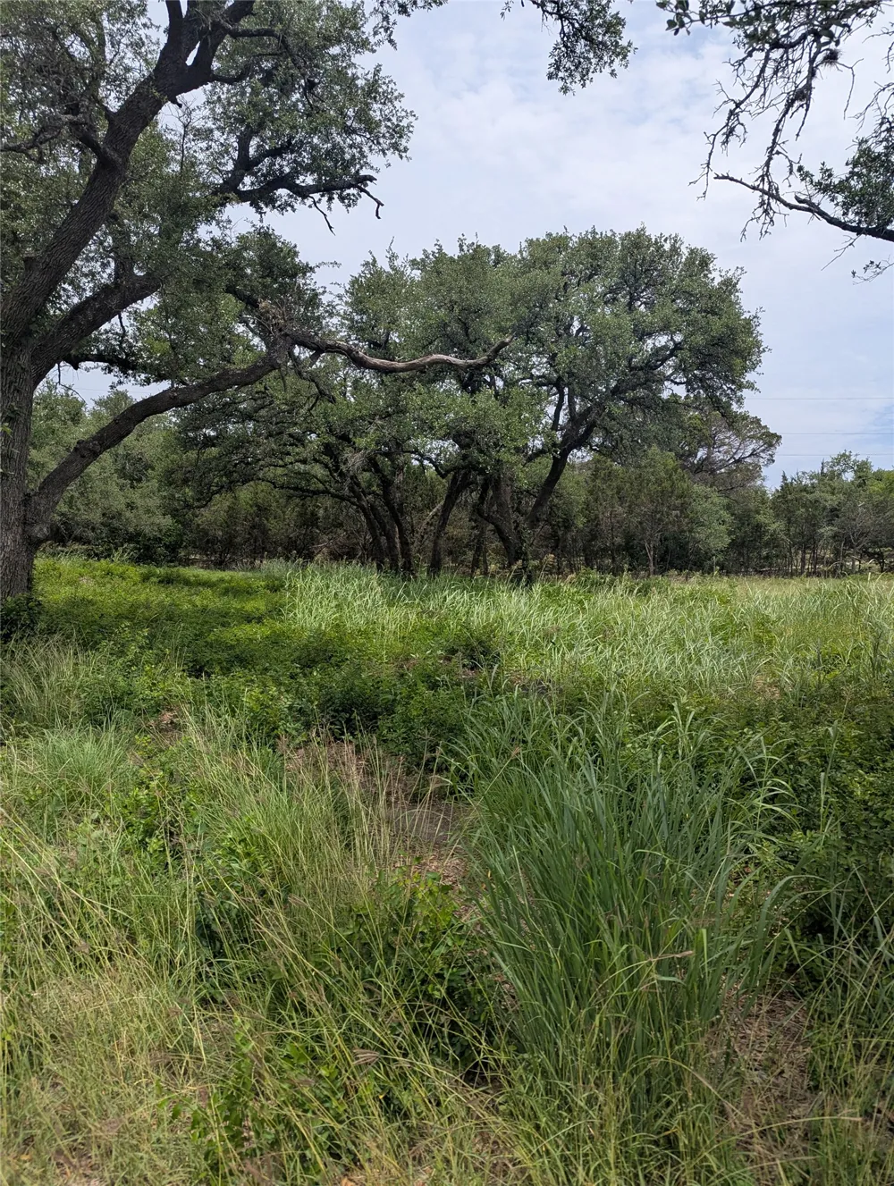 2 Hamilton Pool Road Bee Cave, TX 78738