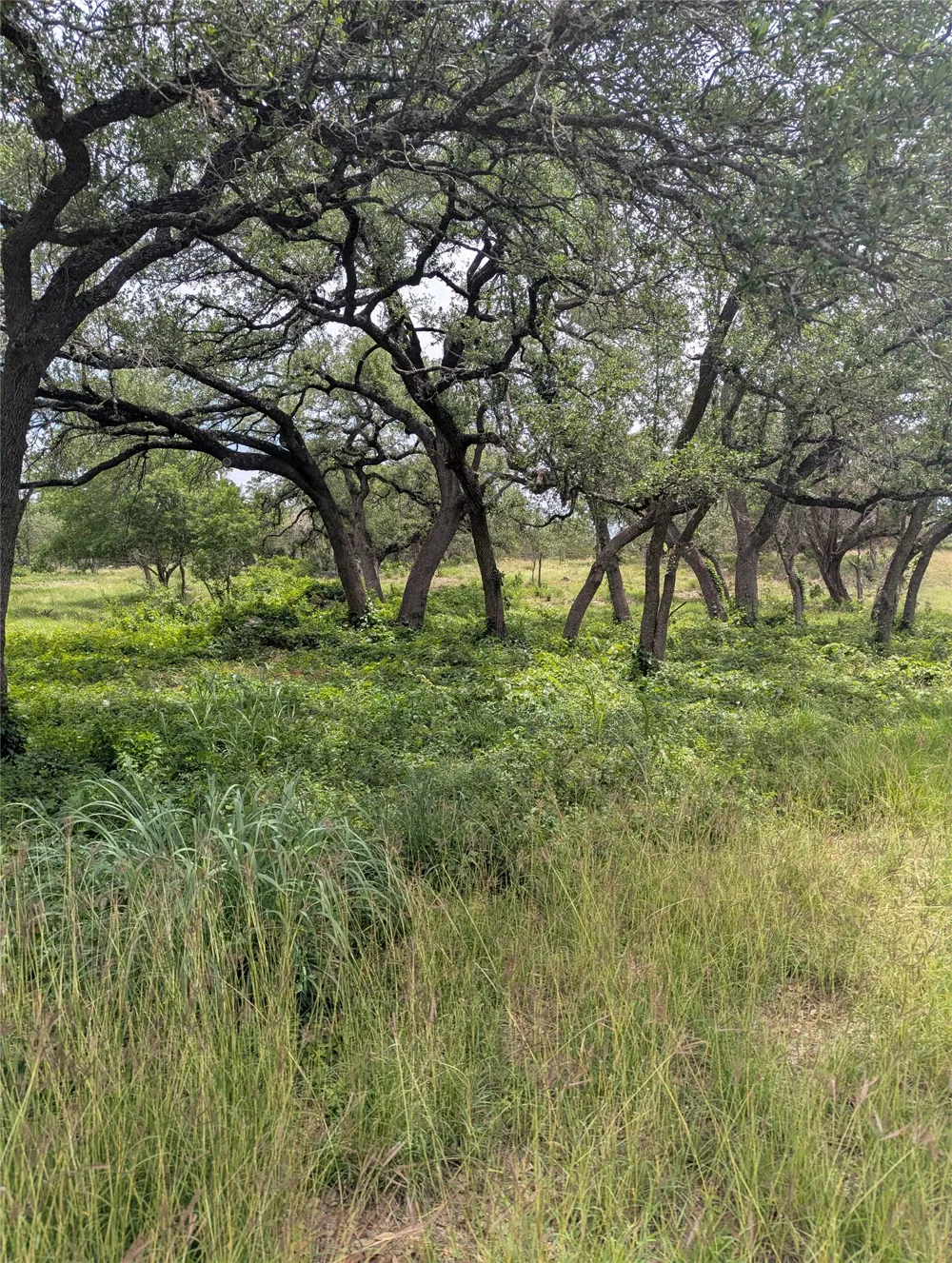 2 Hamilton Pool Road Bee Cave, TX 78738