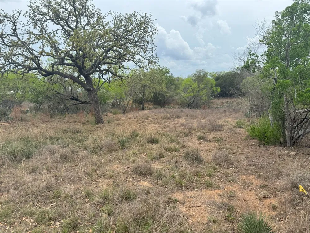 489 Oakhill Drive Granite Shoals, TX 78654