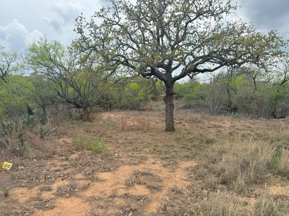 489 Oakhill Drive Granite Shoals, TX 78654