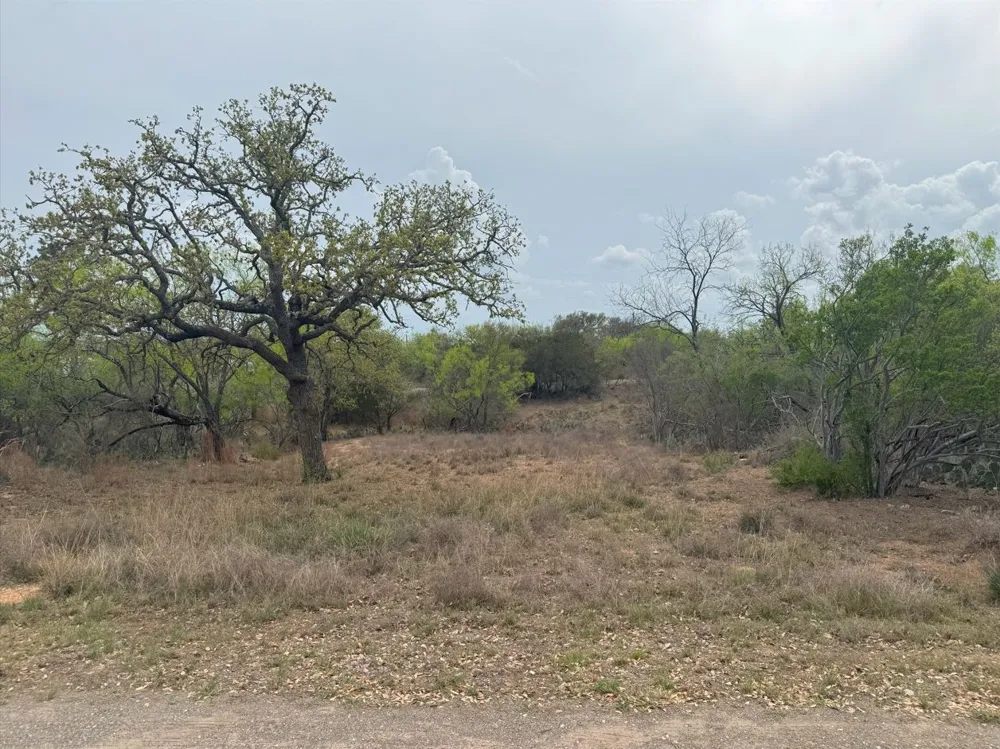 489 Oakhill Drive Granite Shoals, TX 78654