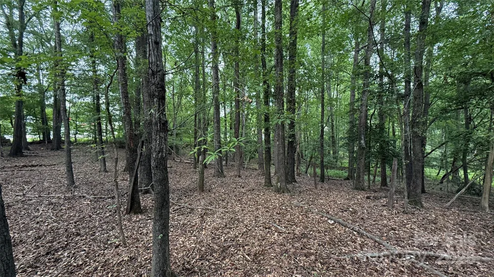 0 College Avenue Shelby, NC 28152