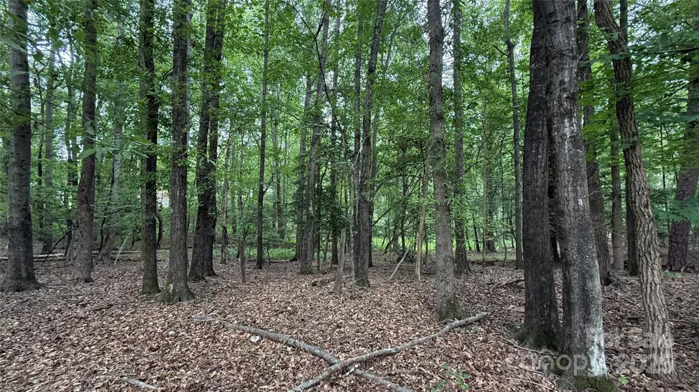 0 College Avenue Shelby, NC 28152