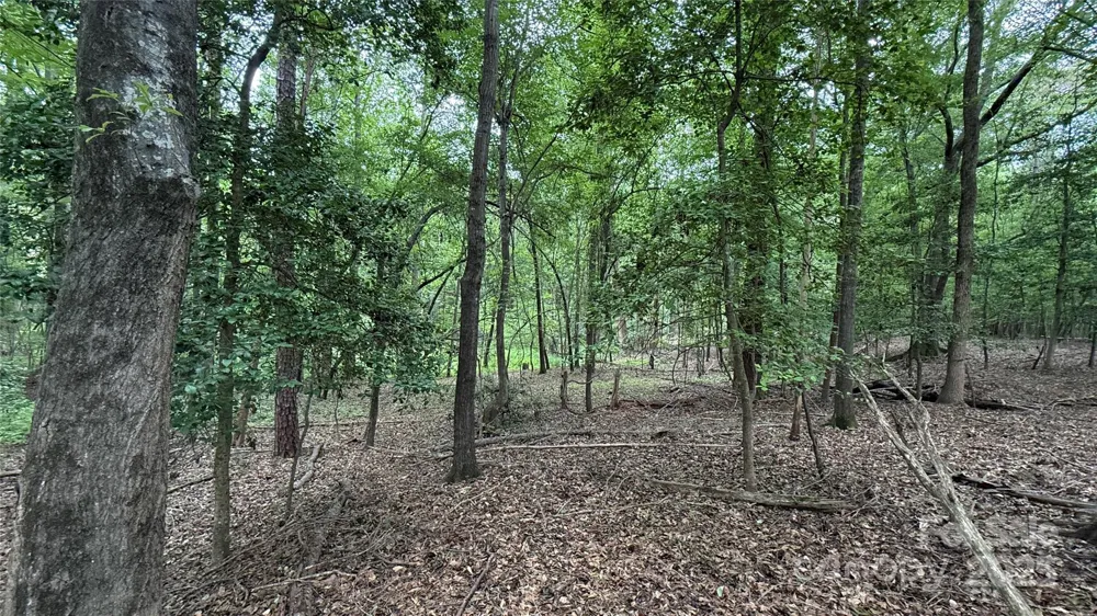 0 College Avenue Shelby, NC 28152