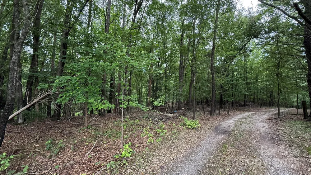 0 College Avenue Shelby, NC 28152