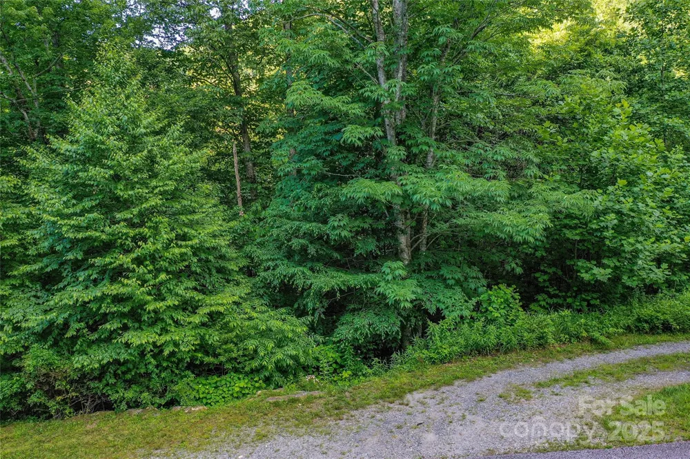 Lot 13 Hares Ear Lane #13 Tuckasegee, NC 28783