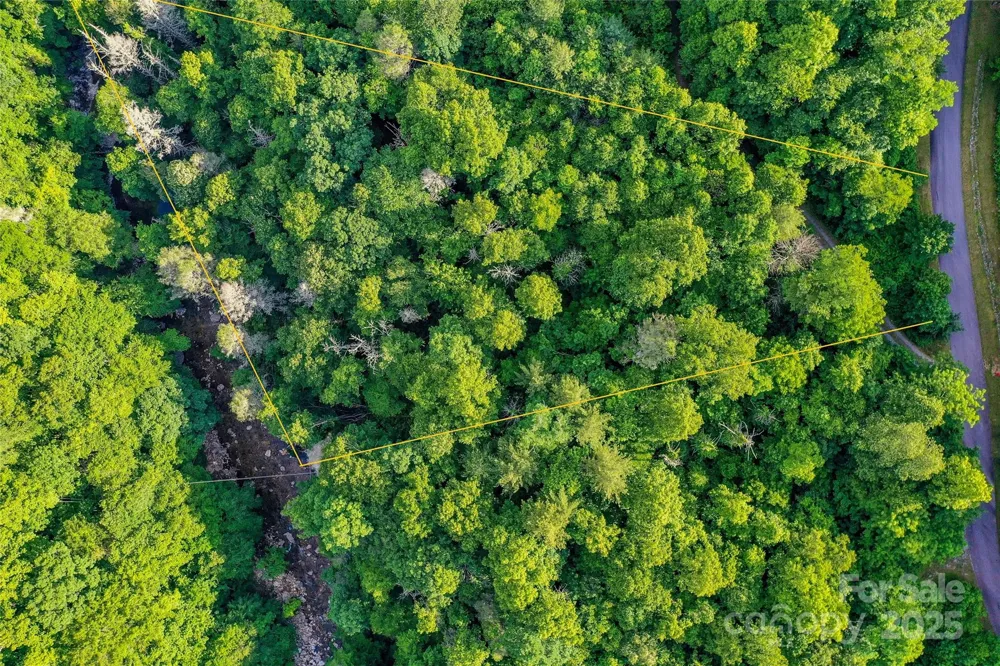 Lot 13 Hares Ear Lane #13 Tuckasegee, NC 28783