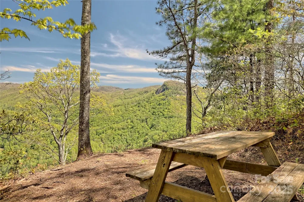 Lot 13 Hares Ear Lane #13 Tuckasegee, NC 28783