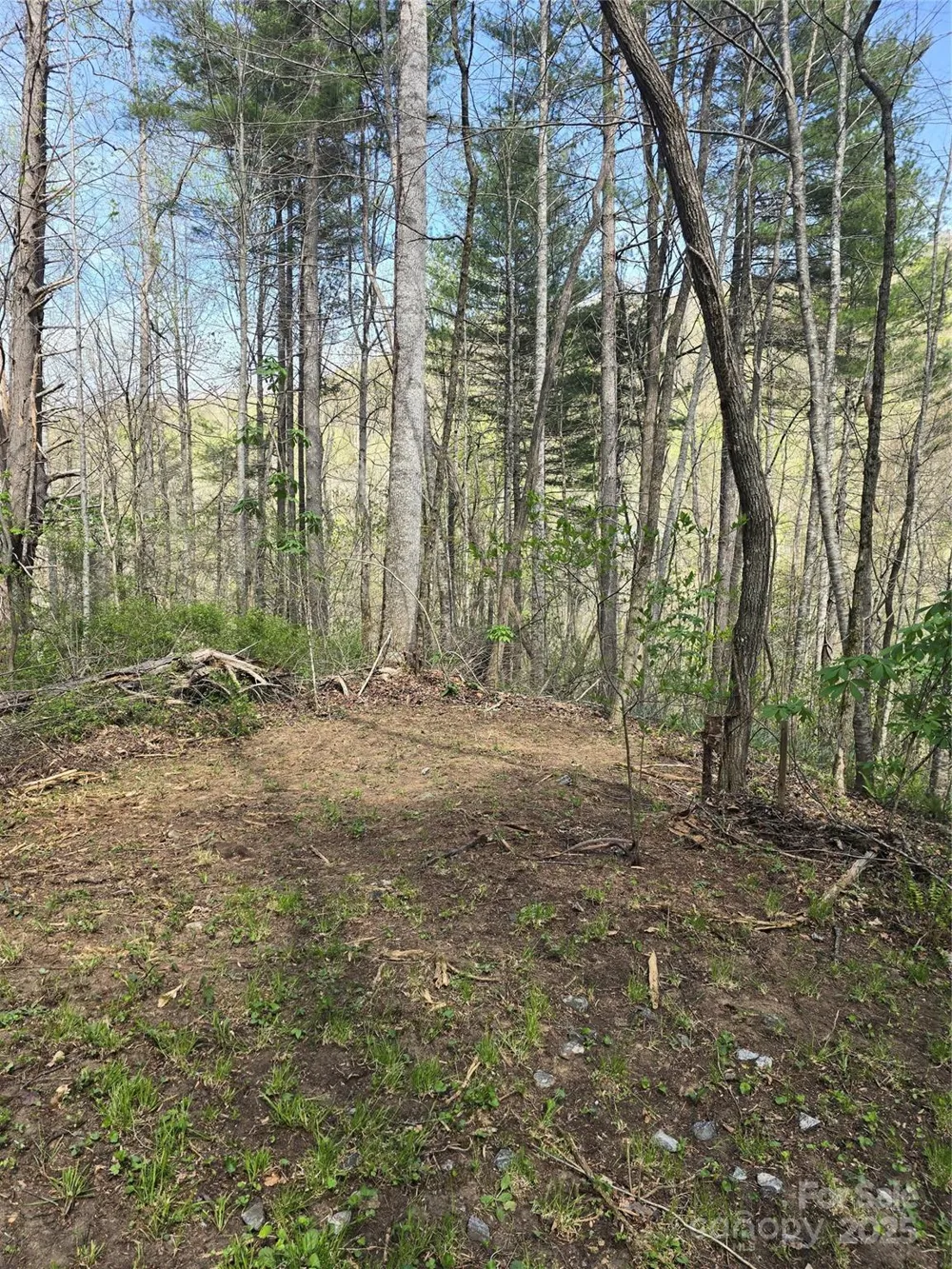 Lot 13 Hares Ear Lane #13 Tuckasegee, NC 28783