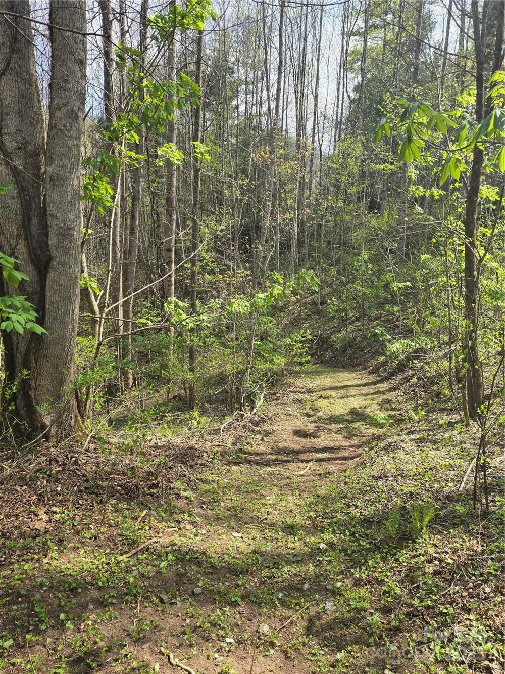 Lot 13 Hares Ear Lane #13 Tuckasegee, NC 28783