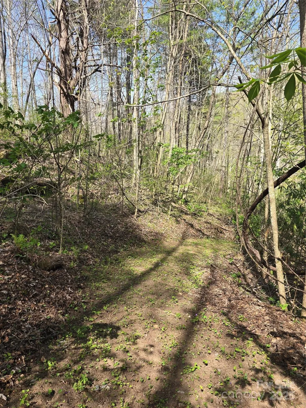 Lot 13 Hares Ear Lane #13 Tuckasegee, NC 28783