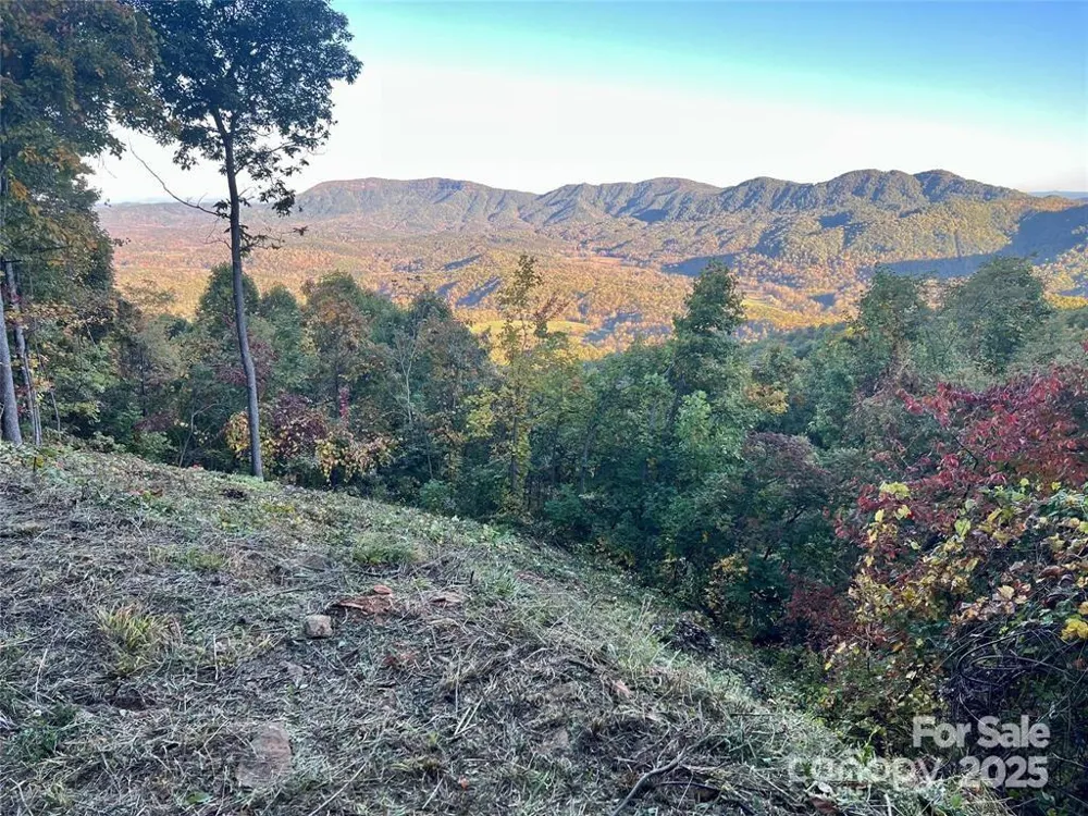 1591 Creston Drive #T-78 Black Mountain, NC 28711