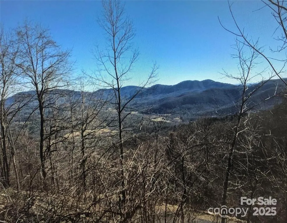 1591 Creston Drive #T-78 Black Mountain, NC 28711