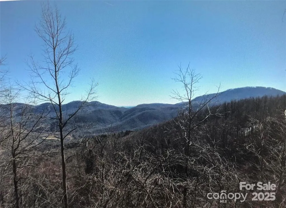 1591 Creston Drive #T-78 Black Mountain, NC 28711