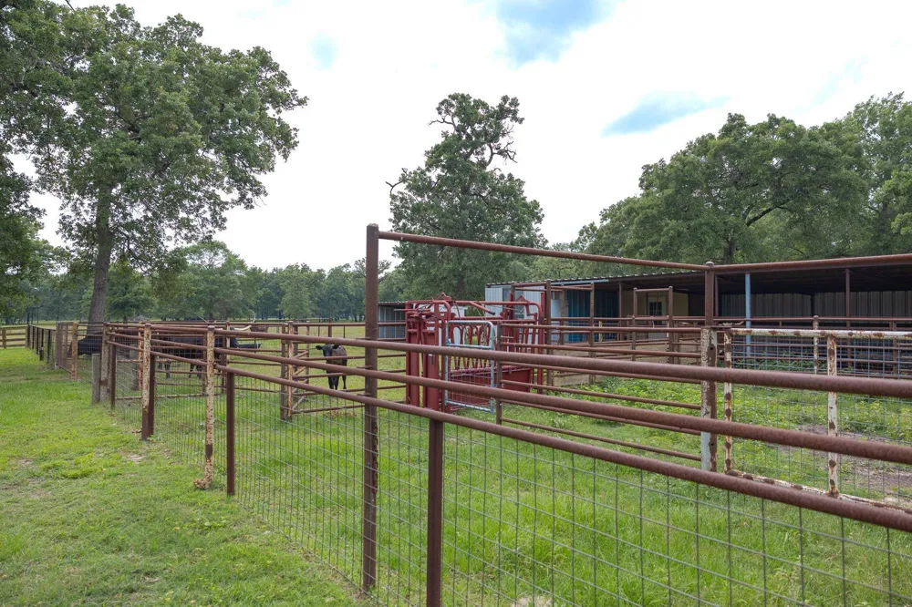 4988 Paso Fino Lane Madisonville, TX 77864