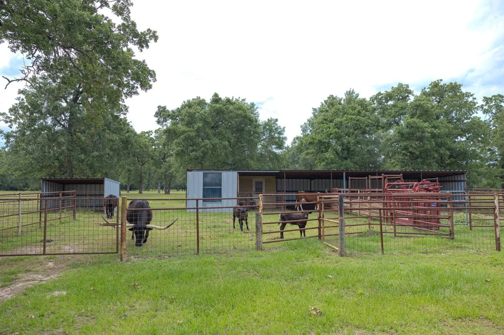 4988 Paso Fino Lane Madisonville, TX 77864