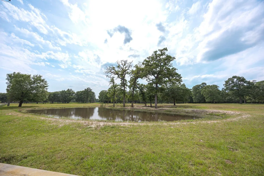 4988 Paso Fino Lane Madisonville, TX 77864