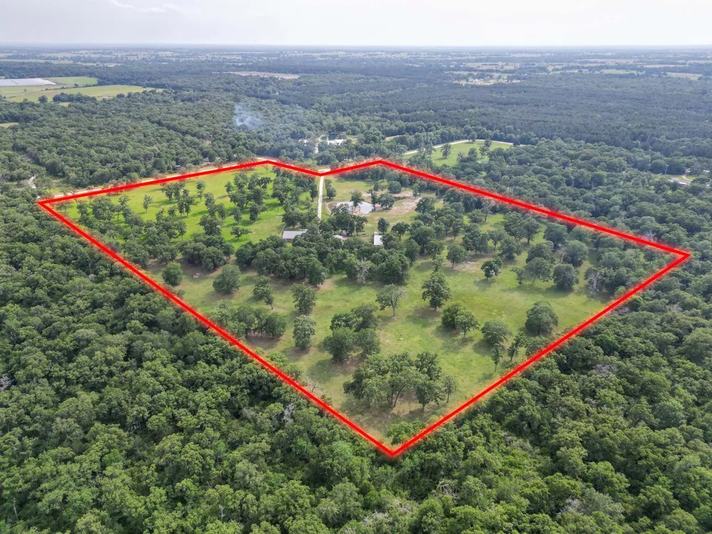 4988 Paso Fino Lane Madisonville, TX 77864