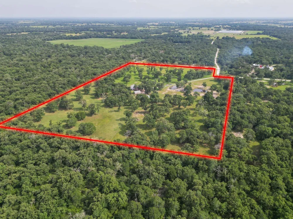 4988 Paso Fino Lane Madisonville, TX 77864