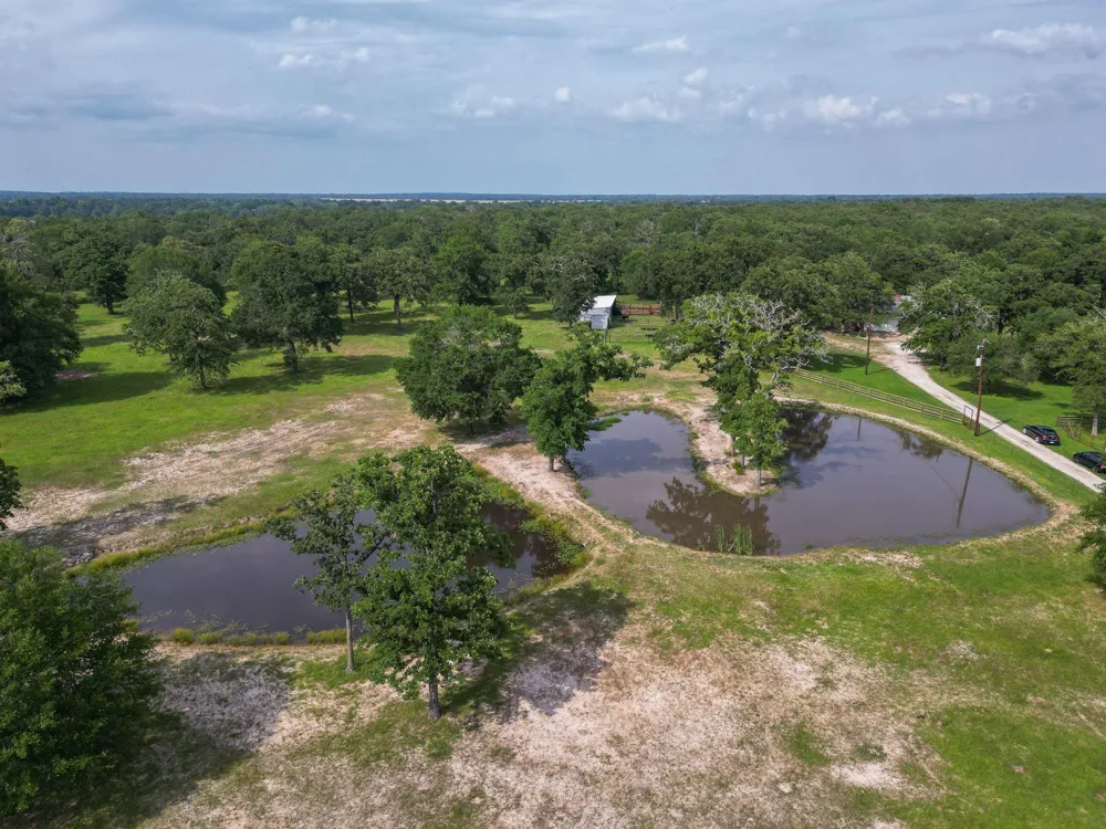 4988 Paso Fino Lane Madisonville, TX 77864