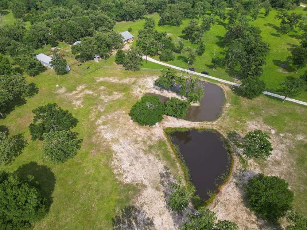 4988 Paso Fino Lane Madisonville, TX 77864
