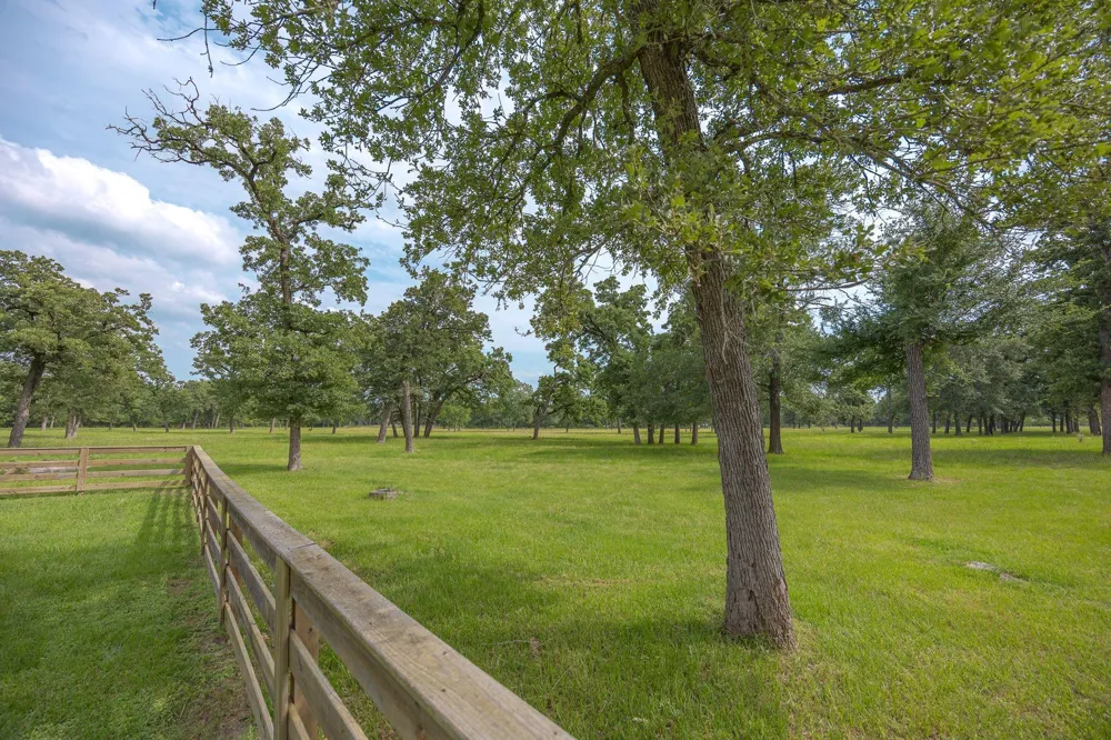 4988 Paso Fino Lane Madisonville, TX 77864
