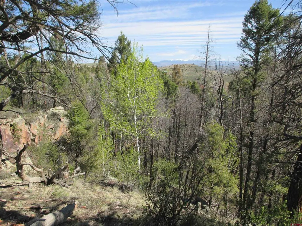 51 Mosquito Way Powderhorn, CO 81243