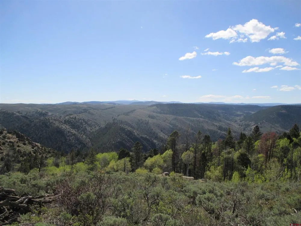 51 Mosquito Way Powderhorn, CO 81243