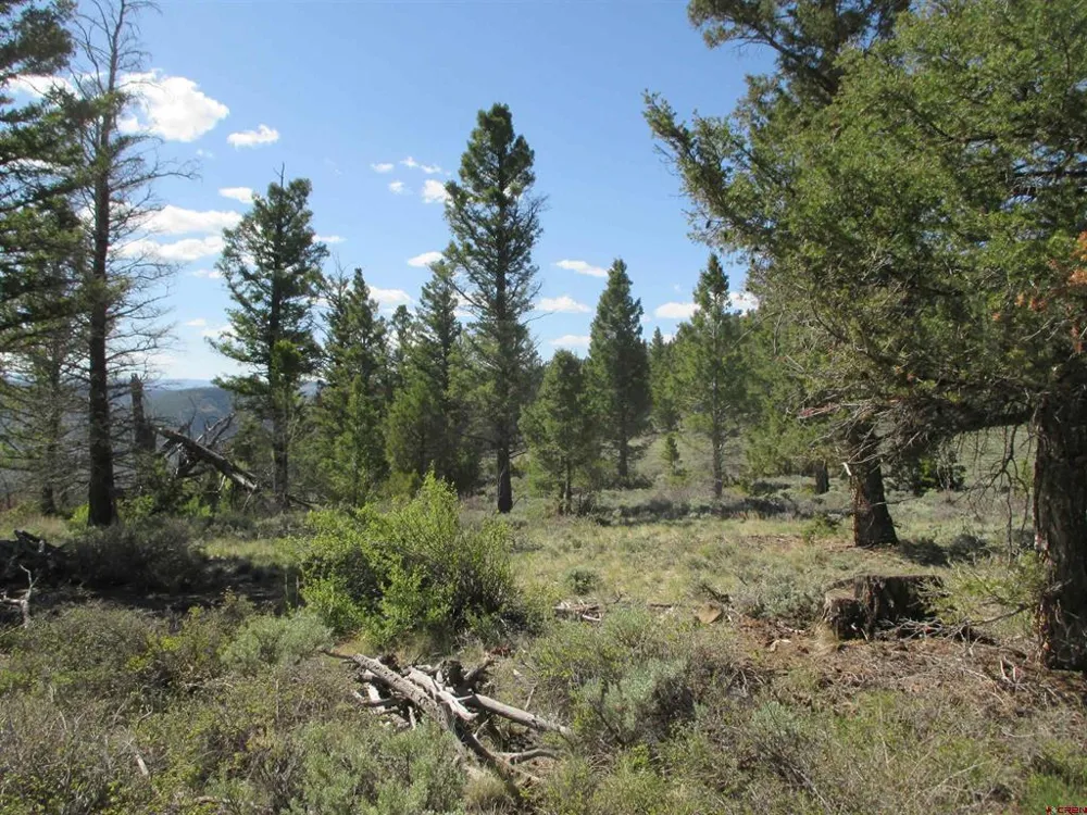51 Mosquito Way Powderhorn, CO 81243