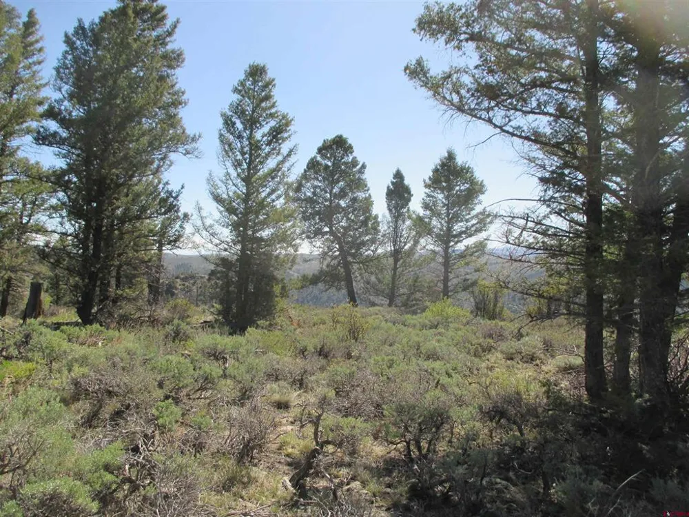 51 Mosquito Way Powderhorn, CO 81243
