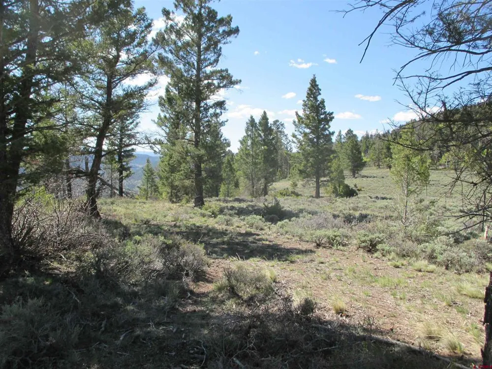 51 Mosquito Way Powderhorn, CO 81243