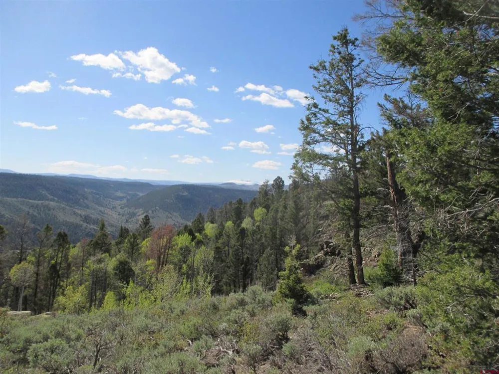 51 Mosquito Way Powderhorn, CO 81243