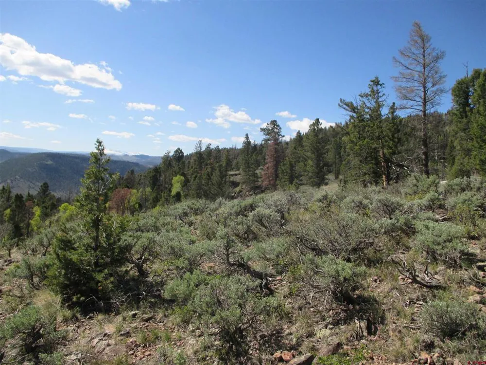 51 Mosquito Way Powderhorn, CO 81243