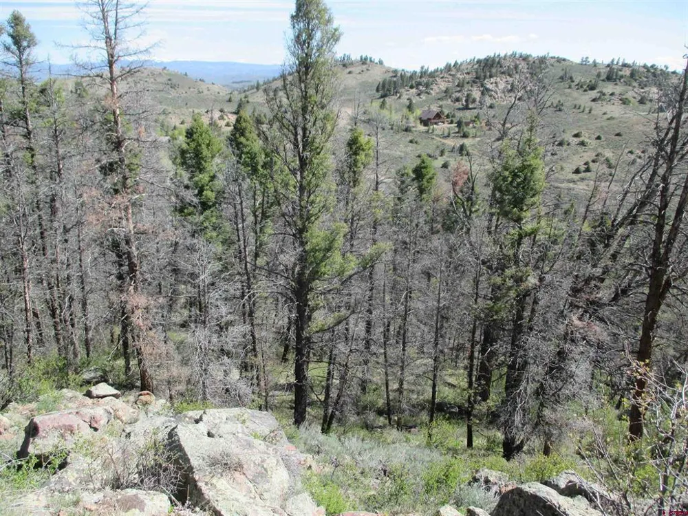 51 Mosquito Way Powderhorn, CO 81243
