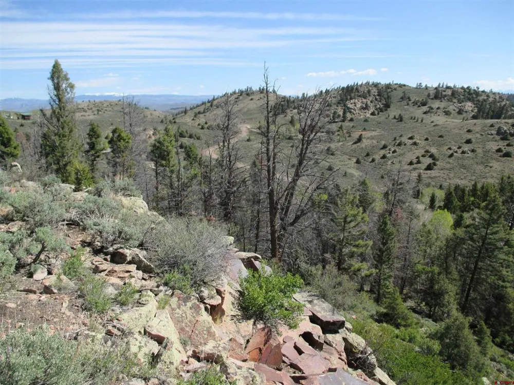 51 Mosquito Way Powderhorn, CO 81243