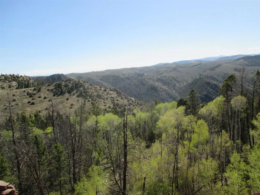 51 Mosquito Way Powderhorn, CO 81243