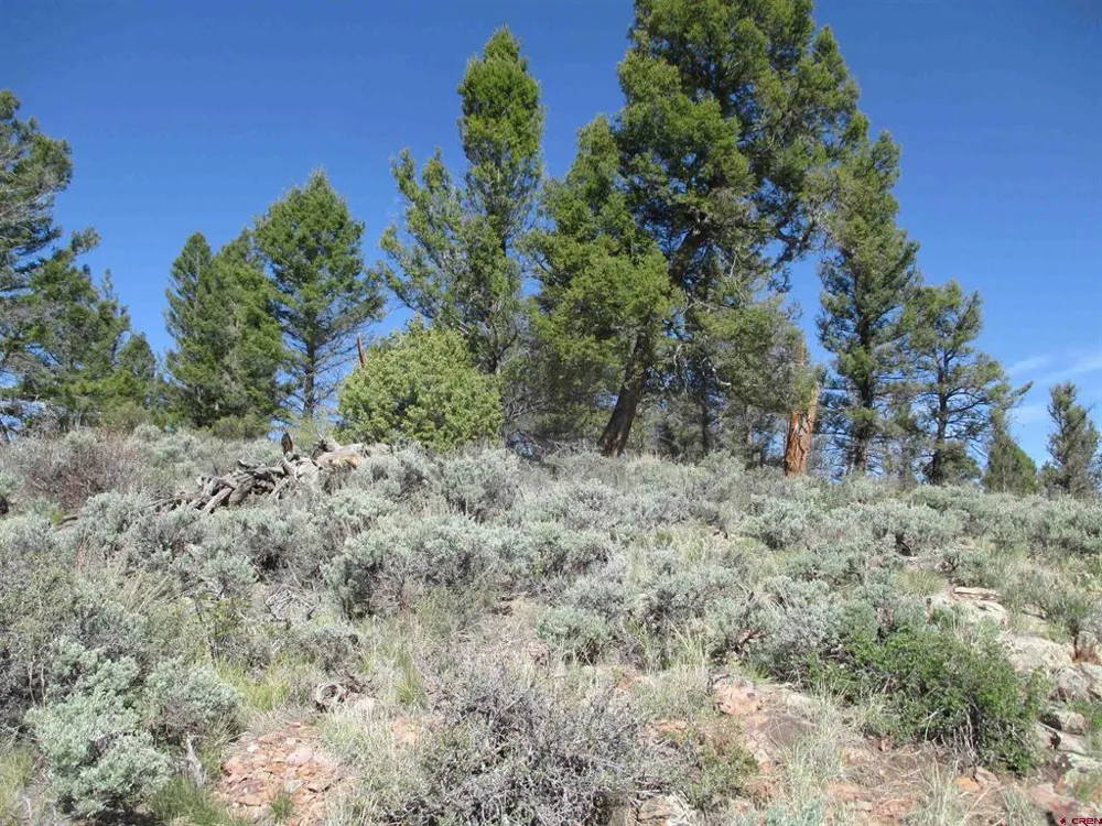 51 Mosquito Way Powderhorn, CO 81243